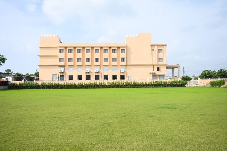Lawn