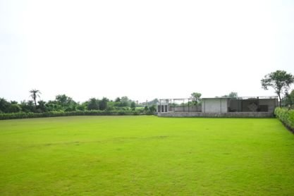 Lawn