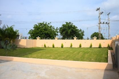 Lawn